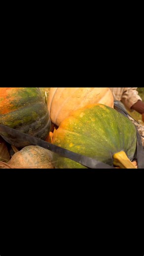 THE WARM HEART HITS DIFFERENT ❤️🇲🇼 Traveling has shown me many beautiful things—lights, stages, airports, cultures. But nothing and I mean NOTHING hits like the warmth of home. Malawi is truly the Warm Heart of Africa — not just a slogan on a tourism flyer, but a lived, daily reality. Our people? Some of the friendliest souls you’ll ever meet (okay, minus a few bad apples who missed orientation 🤣). I’ve toured countries far and wide. Played on massive stages. Heard the applause. Then… silence