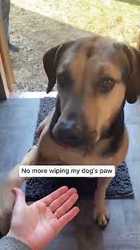 Keep your home clean and your dog happy with Muddy Mat! 🐕 Get it today at an incredible 70% OFF!