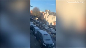 Video: Sheep run for their lives after 'escaping from slaughterhouse' | Daily Mail Online