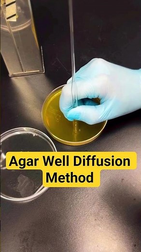 Agar Well Diffusion Method | #youtubeshorts #trending #ytshorts #microbiology #lablife #shortvideo