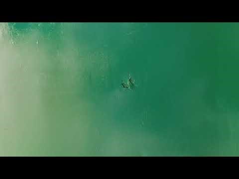 Magnet Battery Charger