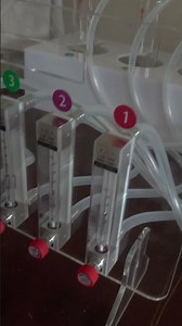 4 Choice Insect Olfactometer