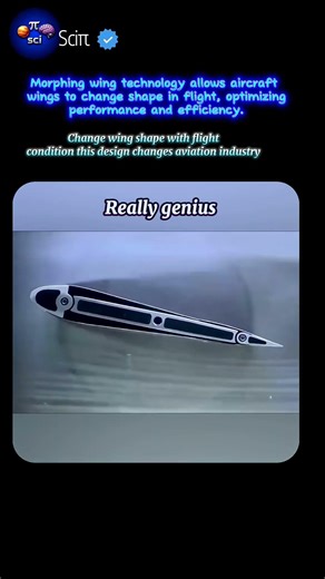 Morphing wings technology! wing can change shape with condition #fact #physics #innovation