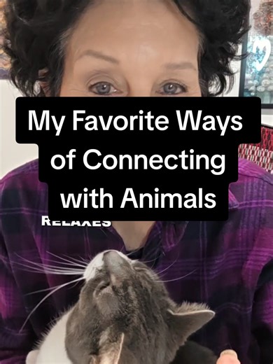 Hwre are my favorite ways of connecting telepathically with any animal. Try them for yourself and comment how it feels! #animalcommunicator #petpsychic