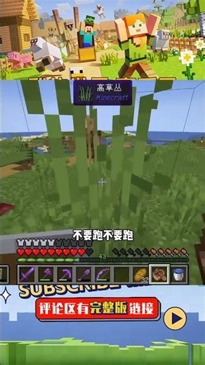 全生物收集（29）：開始收集下界生物，豬人和疣豬獸已就位 #我的世界 #MC #我的世界烧鸡 #Minecraft #MOD