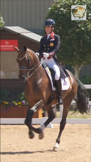 Happy memories - Charlotte Dujardin winning at Hartpury riding Brave Heart #videoingperfection