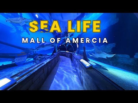 SEA LIFE Aquarium at Mall of America Bloomington Minnesota Full Tour 2025