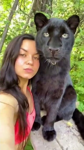 Luna_the_pantera: Most Viewed Videos