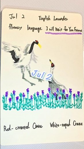 English Lavender Meaning | Time Does Not Move This Place 🌿🕊️