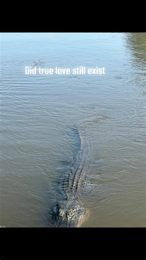 DANIEL JAMES (@daniel.__james)’s videos with Sad Military - Florews