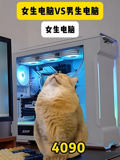 猫meme小剧场 on Instagram: "女生电脑VS男生电脑 . . . . #猫meme #00后 #真实还原 #搞笑 #猫meme小剧场 #万万没想到 #内容过于真实 #funny #fyp #热门 #catmeme"