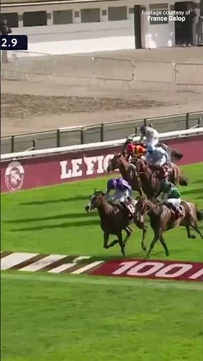That thrilling stretch duel in the Prix de l'Arc de Triomphe... 💥 #QPAT