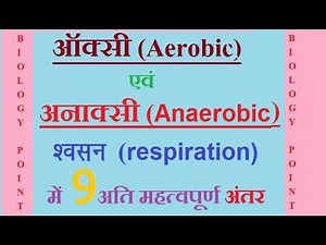 9 very important difference between aerobic and anaerobic respiration in hindi
