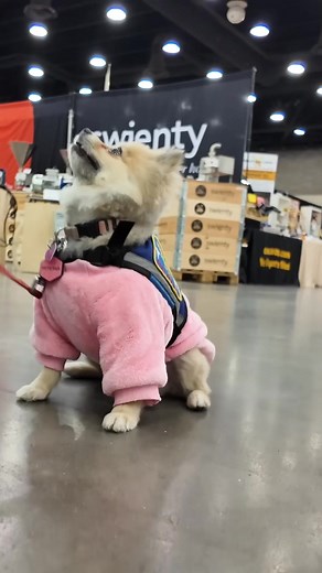 The North American Honey Bee Expo offers an incredible atmosphere of connection among beekeepers, vendors, and speakers. Experience the growth of this event as it evolves into a significant gathering for the beekeeping community. Anticipate even greater things in the coming years! #HoneyBeeExpo #BeekeepingCommunity #FamilyAtmosphere #NetworkingEvent #Beekeepers #CaymanConference #BeeExpo2023 #CommunityGrowth #BeeLovers #HoneyBees | Black Mountain Honey