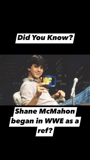 2.4K views · 26 reactions | #WWE #BionicElbow #DidYouKnow #wrestling #ShaneMcMahon #undertaker | The Bionic Elbow | Facebook