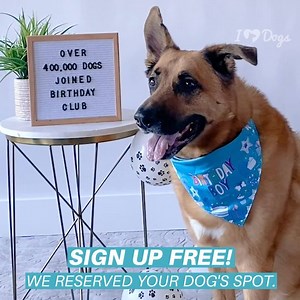 16K views · 251 reactions | Over 300,000 pups have already joined! ...And they look pawdorable in their exclusive birthday bandanas.  Sign up and choose up to 4 FREE gifts today  https://iheartdogs.co/birthdayclub Just pay a small s&h cost which helps us donate to shelter dogs. | iHeartDogs | Facebook