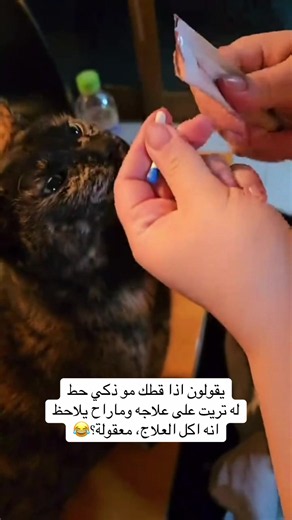 ‏جربوه مع قططكم الغير ذكية😂 #catsoftiktok #cat | cats