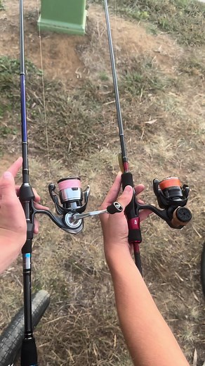 Top Techniques for Redfin Fishing in Australia