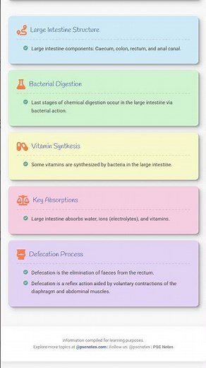 Absorption of Water, Minerals, and Vitamins