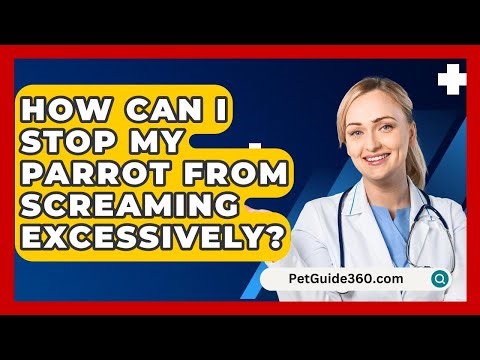 How Can I Stop My Parrot From Screaming Excessively? - PetGuide360.com