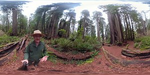 7.2K views · 563 reactions | Because millions of families are staying at home, we are rebroadcasting a series of 360 virtual reality videos we first aired last autumn. For the rest of April, an episode will be shown at 1pm (Pacific Time) on Tuesdays and Thursdays. Episode 4: A ranger talks about how a fallen redwood tree creates life for centuries to come #findyourvirtualpark #virtualexperience #lovemyredwoods | Redwood National and State Parks (NPS) | Facebook