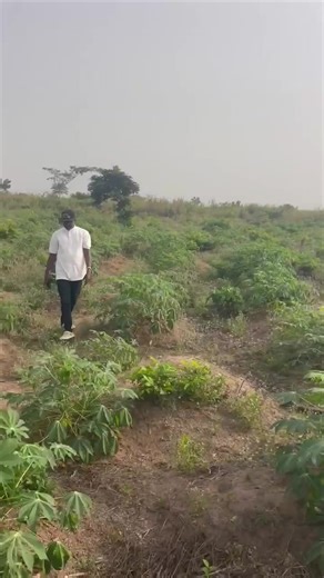 GFL Property Ltd (@gflpropertyltd)’s videos with original sound - GFL Property Ltd