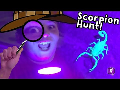 Hunting Insects Outdoors! HobbyScience Lab Learning Kit by HobbyKids