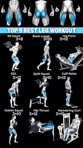 Top 9 Best Leg Workout to Build Massive Lower Body| 🔥 #workout #legworkout