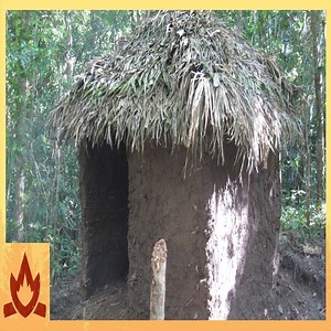 Primitive Technology: Palm Thatched Mud Hut | Natural Development | Facebook