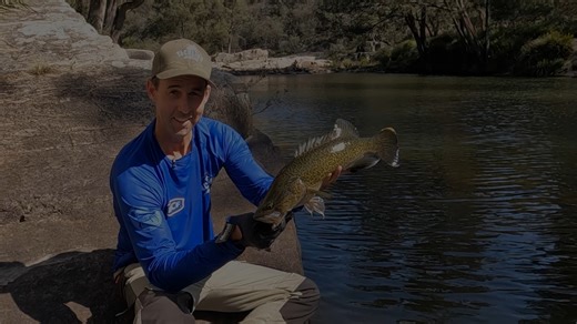 409 reactions · 22 shares | Murray Cod are one of Australia's most iconic freshwater species and they sure know how to punish a lure! In this video, Nige from Tackling Australia meets up with cod guru Steve Booth to talk technique and see if they can land a few of these native beauties using hardbody lures. Check it out  | BCF - Boating, Camping, Fishing | Facebook