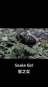 74K views · 709 reactions | The beauty sacrificed herself to save the big snake! #蛇之女 #SnakeGirl #优酷电影 #youkumovie | Youku Movie | Facebook