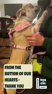 2.8K views · 39 reactions | Transformation Thursday: Miss Ruby...