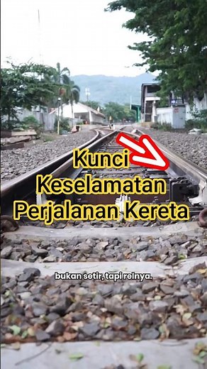 What you need to know about Trains