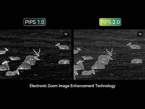 PIPS 2.0: Electronic Zoom Image Enhancement Technology（4X）