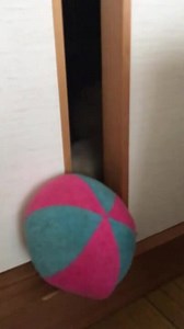 Try not to say "aww" challenge!