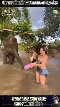 Unbelievable Animal Moments: Adorable Surprises You Can't Miss!