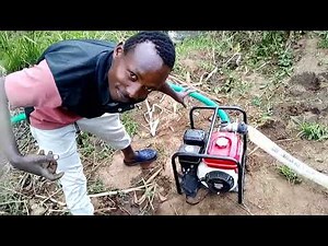 Irrigation system in rice farm take place ‪@DeeMwango‬‪@iammarwa‬ ‪@farmingleaderOfficial‬