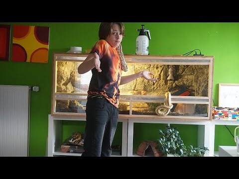 Was brauchst du alles für ein Schlangen-Terrarium? Einrichtung, Boden, Lampen, Deko, Verstecke ...