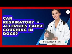 Can Respiratory Allergies Cause Coughing In Dogs? - PetGuide360.com