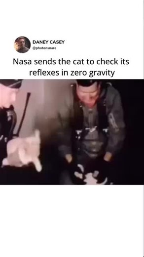 NASA sent a cat into zero gravity to study how animals with quick reflexes handle weightlessness. Cats are known for always landing on their feet due to their strong sense of balance, so researchers were curious to see how they would adapt without gravity pulling them down. In zero gravity, the cat’s usual sense of up and down disappears, and its balance system gets thrown off. This gives scientists a chance to understand how mammals adjust to weightlessness and how other senses, like sight and 