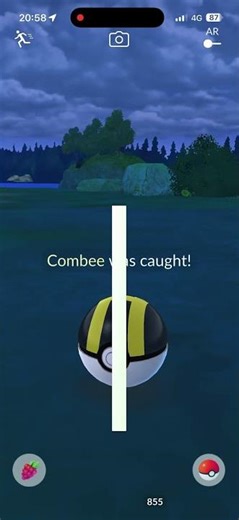 Shiny Combee #shorts #pokemongo #shinypokemon