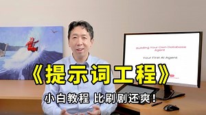 【全网最全】2025年详解最全最细的【吴恩达提示词工程】零基础教程，从入门到精通！包含所有干货！一口气学完，让你少走99%的弯路！--【课件代码】