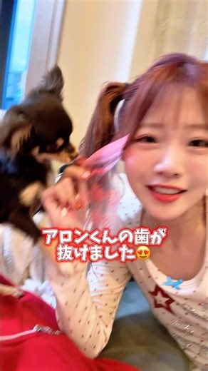 I want to eat my dog's baby teeth. #tiktok #shorts