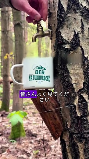 #にほん #Nihon #TikTokで習った #おすすめコンテンツ #おすすめ動画
