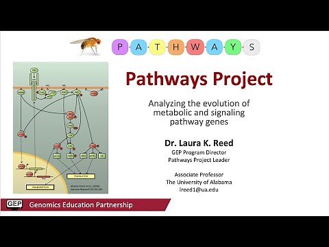 Pathways Project Overview