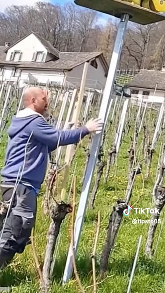 Indoor and Outdoor Painting Techniques Explained