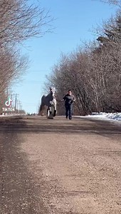 494K views · 21K reactions | SD Big Joy is feeling alive this morning...