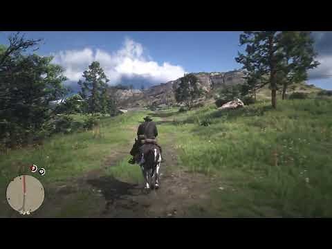 Best HDR Settings in Red Dead Redemption 2 (PS5/ Xbox Series X & PC)