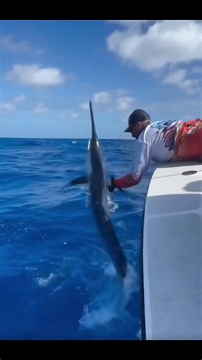 #duo avec @OMG video 😱 #peche #poison #fish #mer