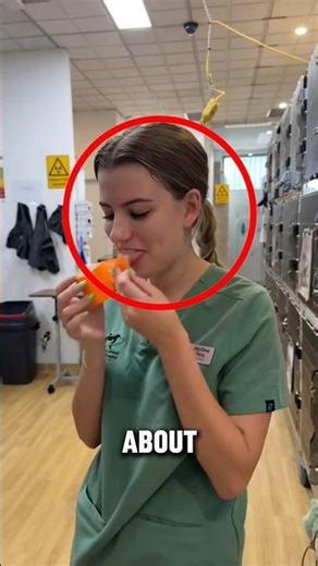 Why Dogs Absolutely Hate This Bandage 🐕❌ #shorts